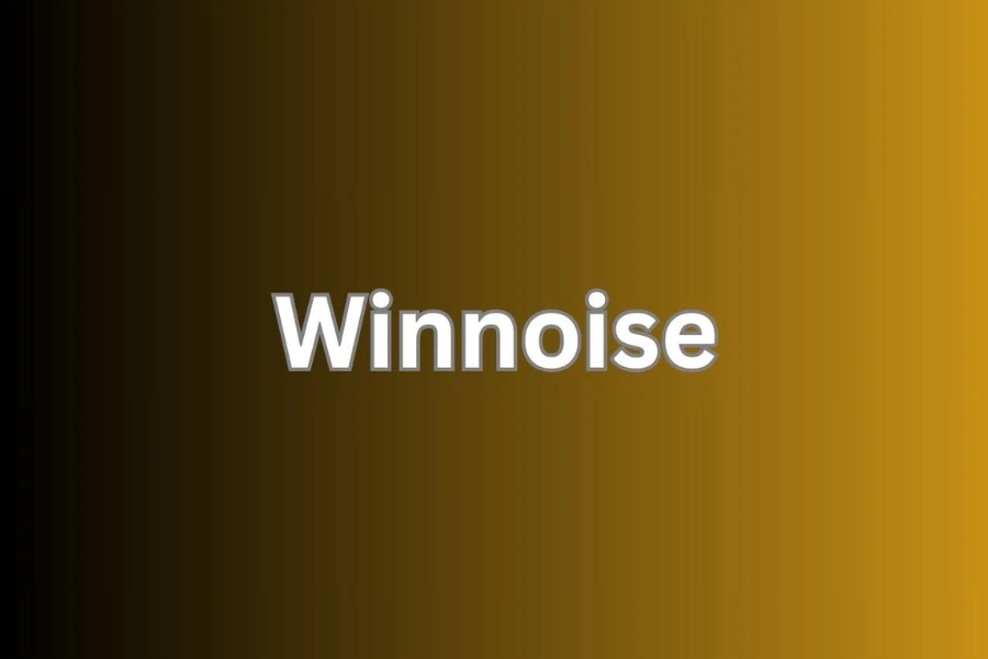 Exploring Winnoise: A Comprehensive Guide to Ad-Free Entertainment